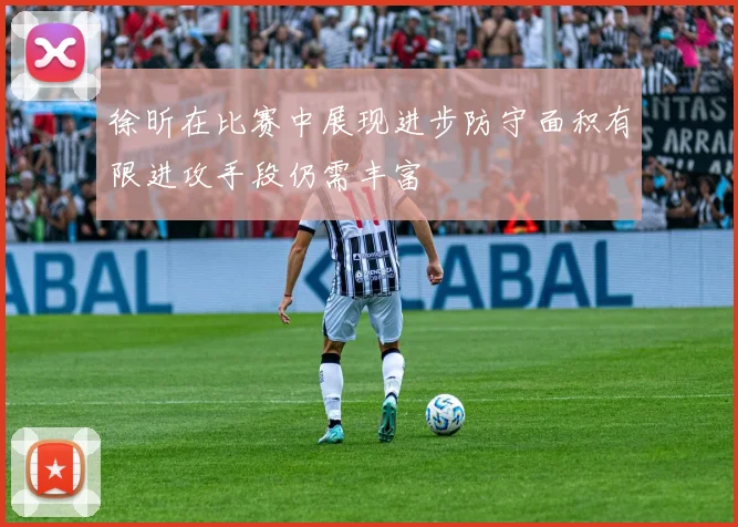 徐昕在比赛中展现进步防守面积有限进攻手段仍需丰富