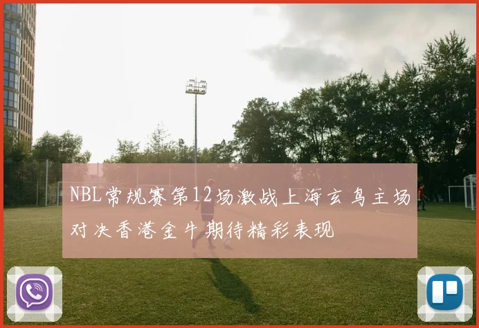 NBL常规赛第12场激战上海玄鸟主场对决香港金牛期待精彩表现