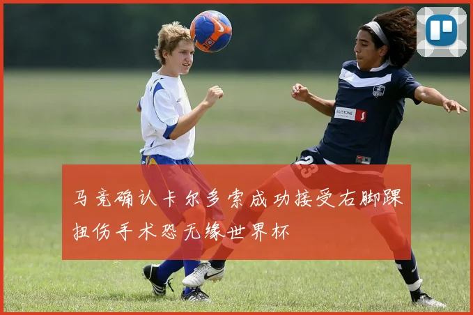 马竞确认卡尔多索成功接受右脚踝扭伤手术恐无缘世界杯